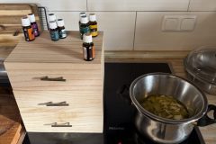 1:1 Workshop mit Franzi