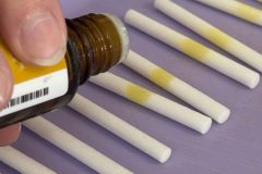 1:1 Workshop mit Franzi