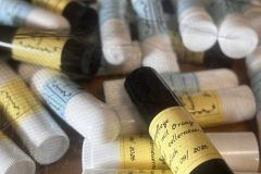 1:1 Workshop mit Franzi